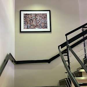 Trees In The Leaves by Ayesha Lakes  Image: Public Defender's Office