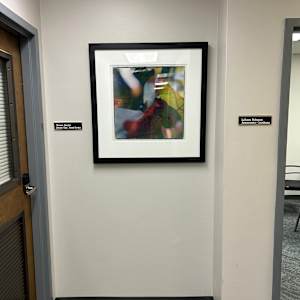 Blackjack Oak 3 by Kathryn Kolb, Image 2.