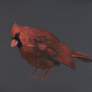 Red Bird with Attitude by Cindy Berceli