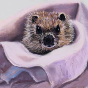 * The Hedgehog by Cindy Berceli