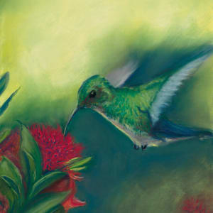 Spiritual Hummer by Cindy Berceli