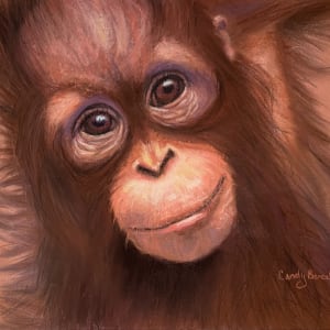 Little Orangutan by Cindy Berceli