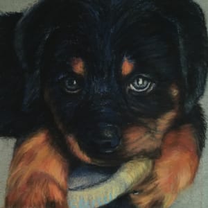 'Doberman pup'.  'Little Acetuna' by Cindy Berceli