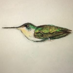 1st Hummer by Cindy Berceli