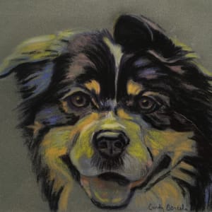 Tri-Color Dog by Cindy Berceli
