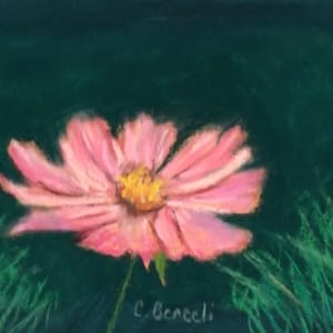 Pink Flower by Cindy Berceli