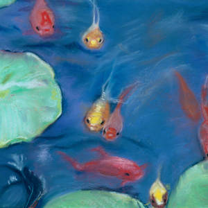 Koi Pond by Cindy Berceli
