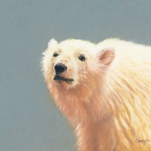 *Polar Plummet by Cindy Berceli
