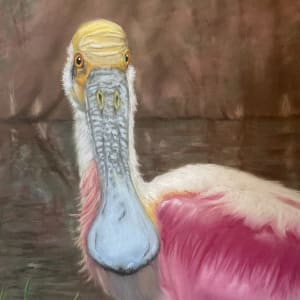 Roseate Spoonbill by Cindy Berceli, Image 1.