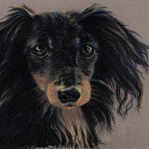 Toto by Cindy Berceli