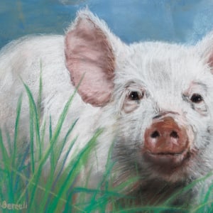 *Wilbur by Cindy Berceli
