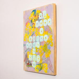 Areas on the Cookie by Blake Brasher 