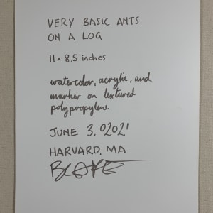 Very Basic Ants on a Log 