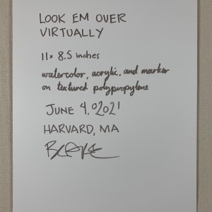 Look Em Over Virtually 