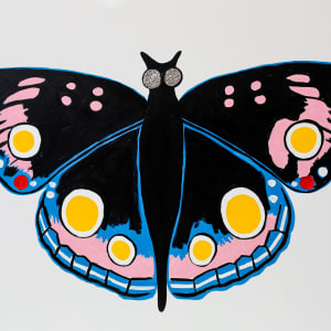 Mariposa, Image 1.