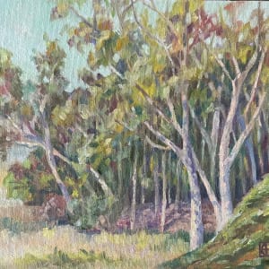Eucalyptus Grove at Batiquitos Lagoon by Karen Haub