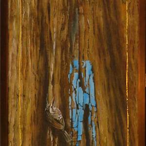 Bruce, Go Straight,Creeper by Karen Phillips~Curran, Image 2.