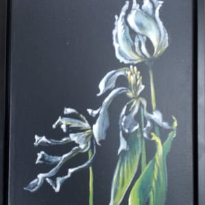 Pale Tulips by Karen Phillips~Curran