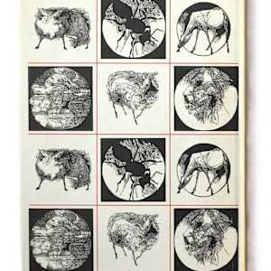 A Medieval Bestiary by David R Godine (publisher), T. J. Elliott, Gillian Tyler  Image: Back cover