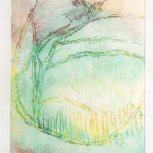 Untitled by Tessa Humphries