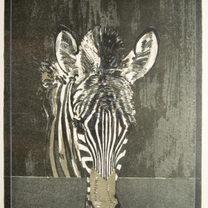 Zebra by Bryan Organ