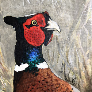 Ring-Necked Pheasant by Jennifer L Mohr 