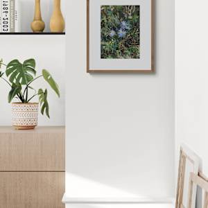 Asters by Jennifer L Mohr 