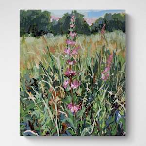 Purple Loosestrife by Jennifer L Mohr 