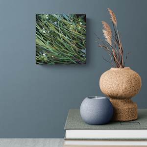 Searching by Jennifer L Mohr 