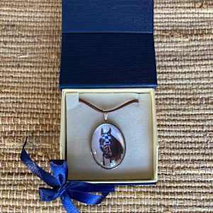 Secretariat pendant 20601 by Salina Ramsay, Image 1.