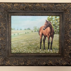 The Filly original oil by Salina Ramsay