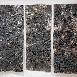 Triptych of the Universe by Marieken Cochius