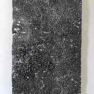 Vibrations by Marieken Cochius