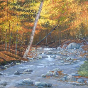 Autumn Brook by Thomas Waters
