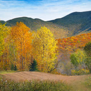Autumn Gold by Thomas Waters, Image 1.