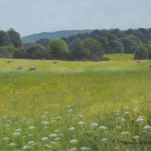 Fields & Lace by Thomas Waters