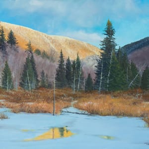 Golden Illumination, Smugglers Notch by Thomas Waters