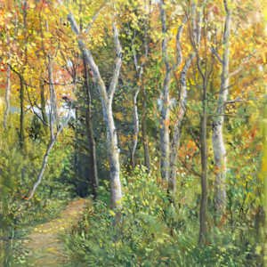 Through the Soft Woods by Thomas Waters