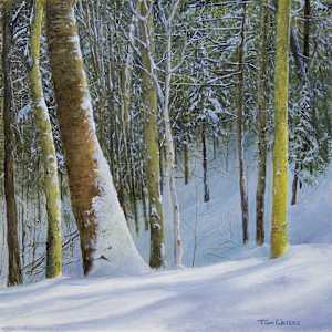 Winter Light by Thomas Waters, Image 1.