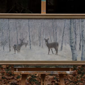 Winter Deer Yard 