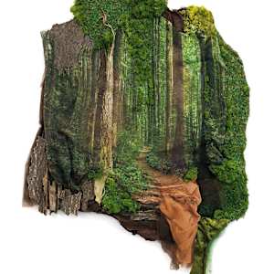 We Are Nature 1 by Karla Kantorovich