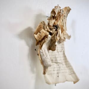 Reclaiming poetry by Karla Kantorovich