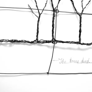 The Fenceline by Tania Spencer 