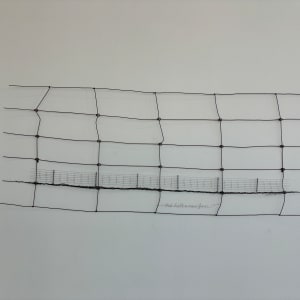 The New Fence by Tania Spencer