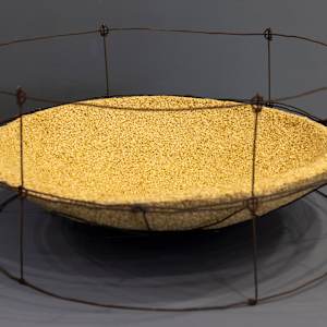 Food Bowl by Tania Spencer