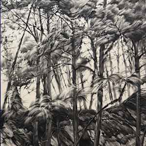 Mountain Top by Allen Wang, Image 1.