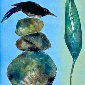Stone Perch by Sharon Whitham
