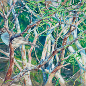 Lark Sparrows by Jessica Monroe Fine Art