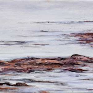 Hunting Plover by Jessica Monroe Fine Art 