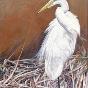 Looking Back by Jessica Monroe Fine Art 